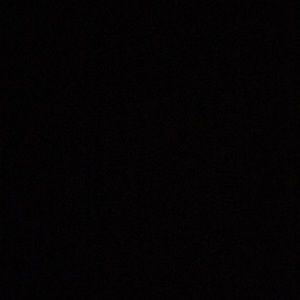 Meet your Posher, Ava